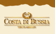 logo Costa Busia