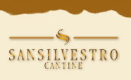 logo San Silvestro